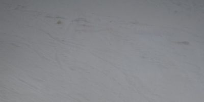 Ski1-Alpiin90217 (10).JPG