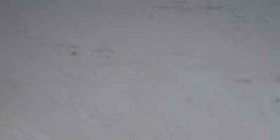 Ski1-Alpiin90217 (9).JPG