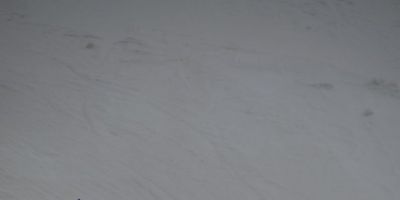 Ski1-Alpiin90217 (25).JPG